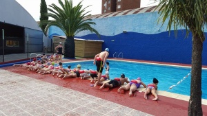 15977968_601124983418351_4009719826003472923_n